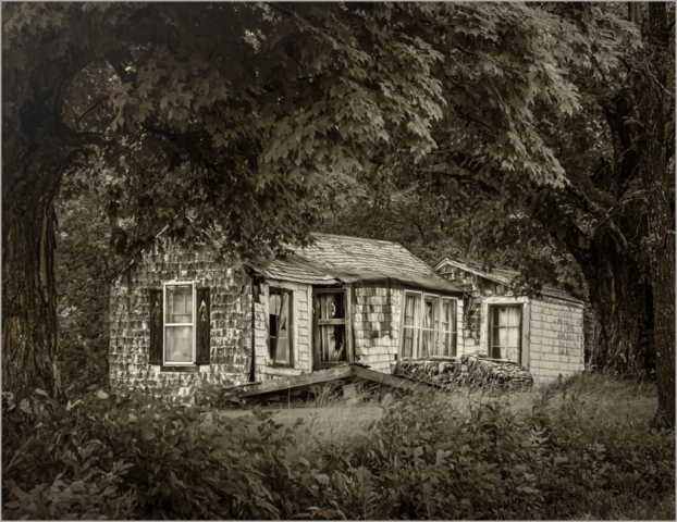 B&W S - Bonnie Forman-Franco: Abandoned in the Back Woods