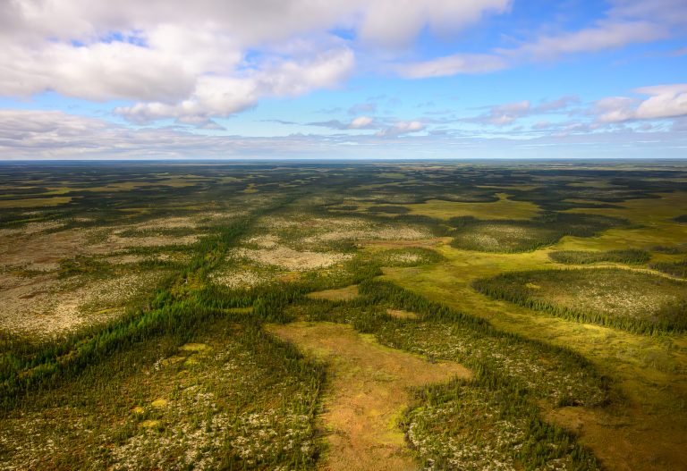 Partial Aerial View of the Boreal Forest Outside of Churchill, Manitoba