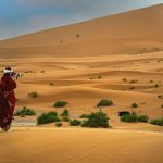 COLOR B - Laurie Ellis: Thru the Lens Squared