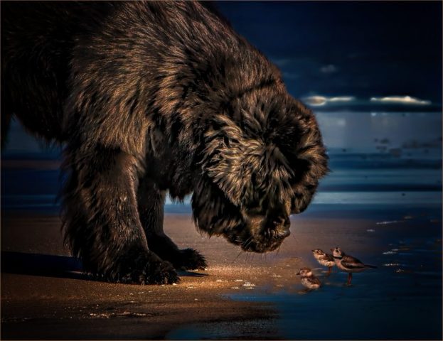 CREATIVE - Kathy Baca: Ships