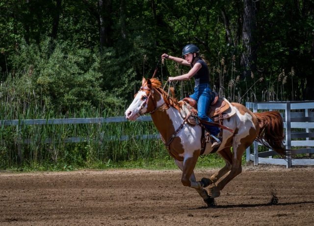 Barrel Racing - Photographer: Bonnie Forman-Franco