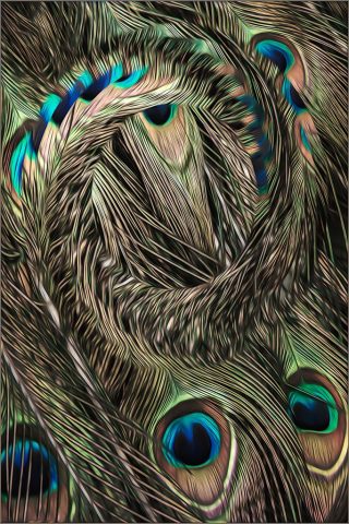 CREATIVE Second Place - Ellen Gallagher: Twirling Feathers