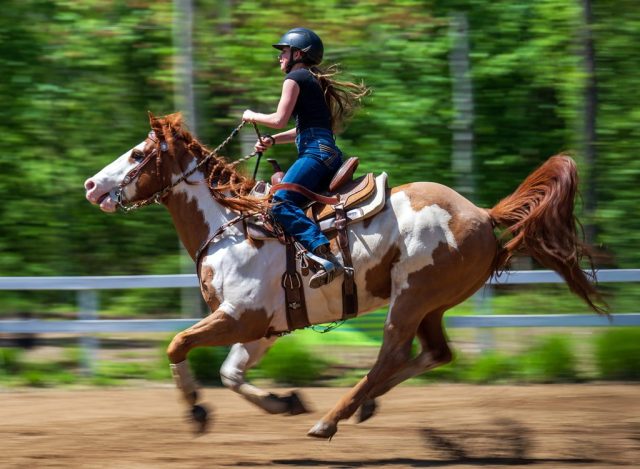 Muybridge Study of Motion - Photographer: Laurie Ellis Muybridge Study of Motion - Photographer: Laurie Ellis