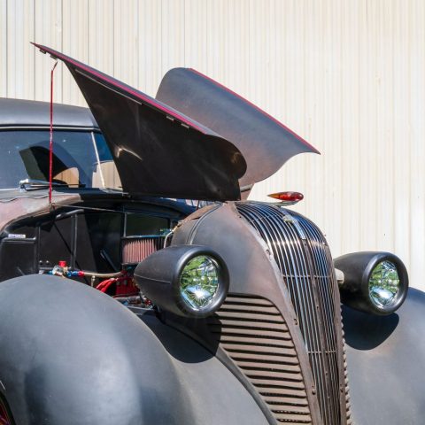 Black Wing - Photographer: Laurie Ellis Black Wing - Photographer: Laurie Ellis