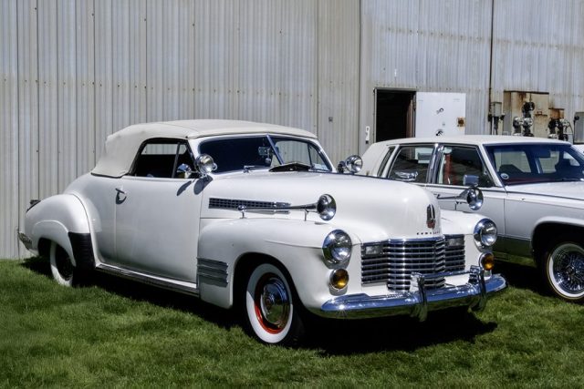 Those were the Days - Photographer: Jessie McGuire Those were the Days - Photographer: Jessie McGuire