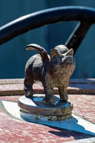 When Pigs Can Fly - Photographer: Laurie Ellis When Pigs Can Fly - Photographer: Laurie Ellis