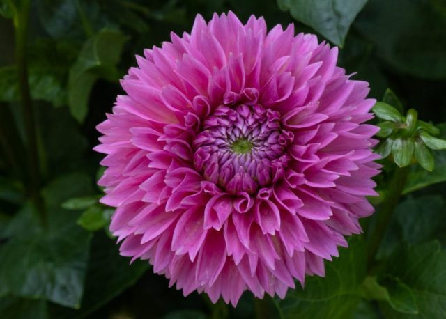 Up Close and Personal - Photographer: Beth Glorioso Up Close and Personal - Photographer: Beth Glorioso