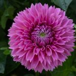 Up Close and Personal - Photographer: Beth Glorioso