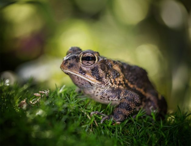 MACRO - Kathy Baca: Princess Diaries