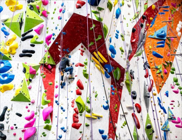 Climbing High - Photographer: Ellen Dunn