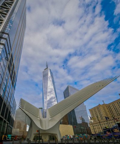 OCCULUS - Photographer: Bonnie Forman-Franco