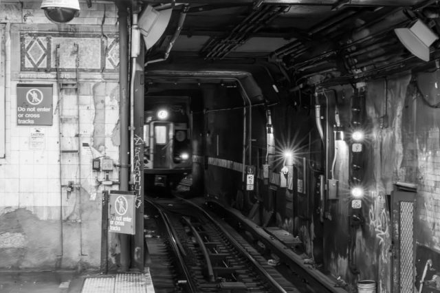 Arriving - Photographer: Audrey Gallo