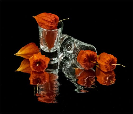 COLOR A - Debbie Garafola: Chinese Lantern Flowers