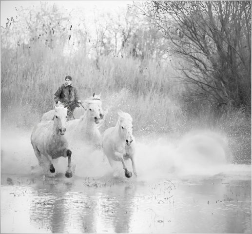B&W A Third Place - Lorraine Piskin: Catching Up