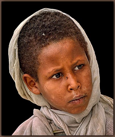 COLOR A First Place - Ira Scheinerman: Desert Denizen