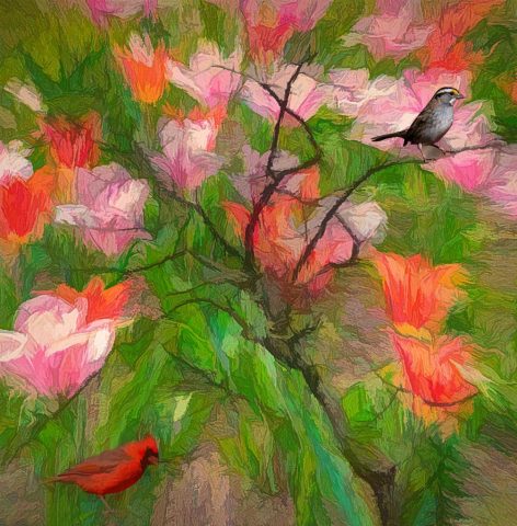 CREATIVE First Place - Ira Scheinerman: Printemps